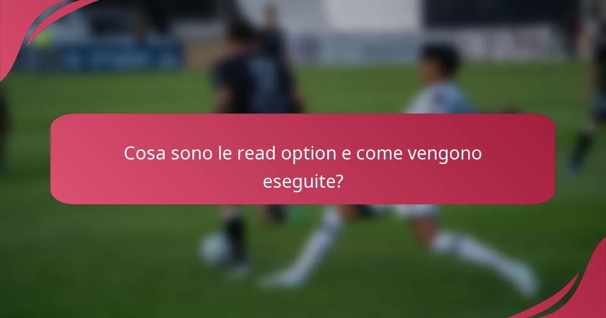 Cosa sono le read option e come vengono eseguite?