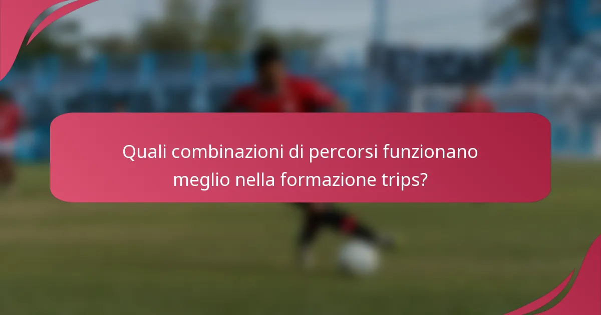 Quali combinazioni di percorsi funzionano meglio nella formazione trips?